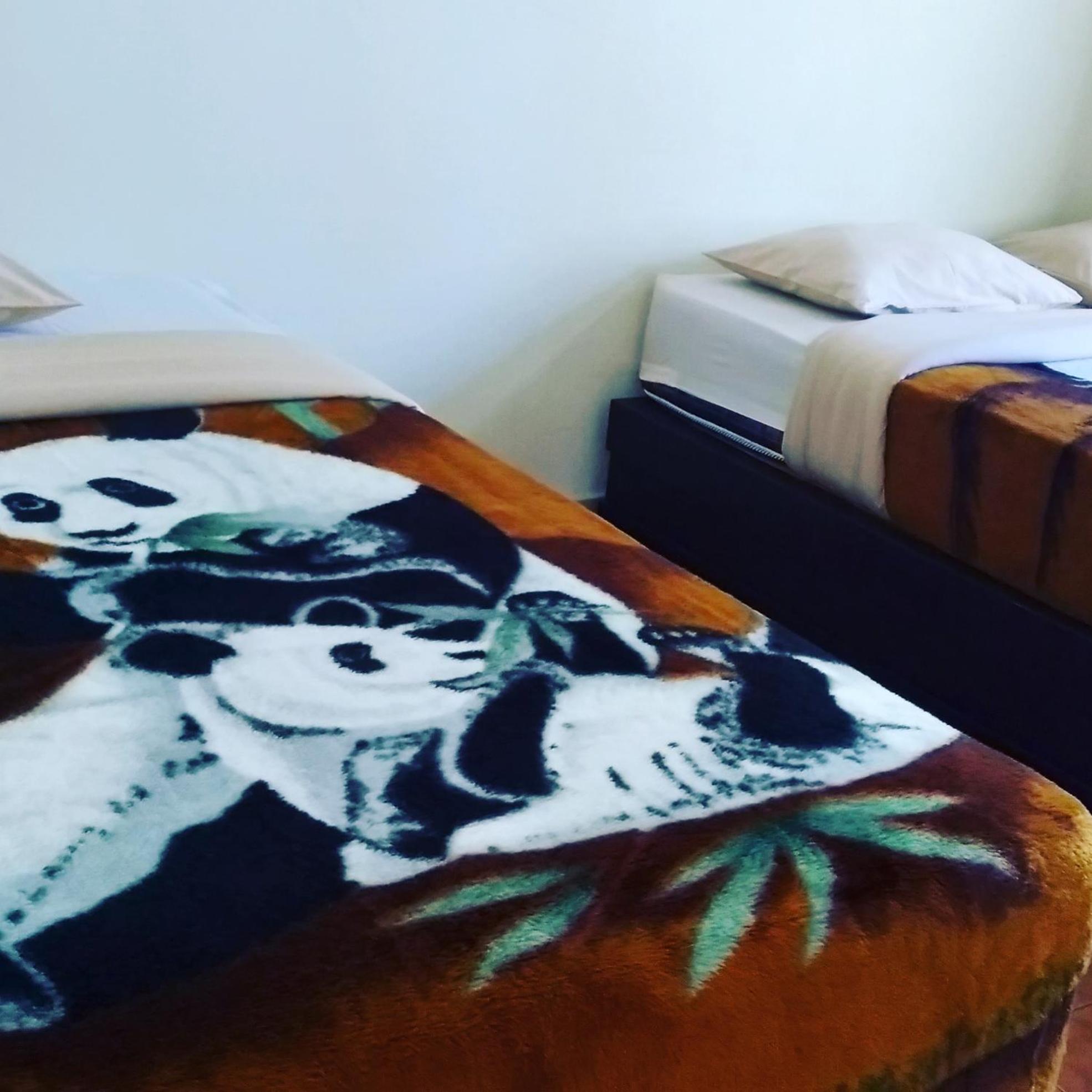 Bromo Otix Guest House Rum bild